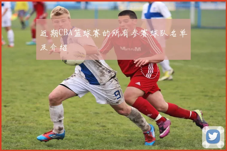 近期CBA篮球赛的所有参赛球队名单及介绍