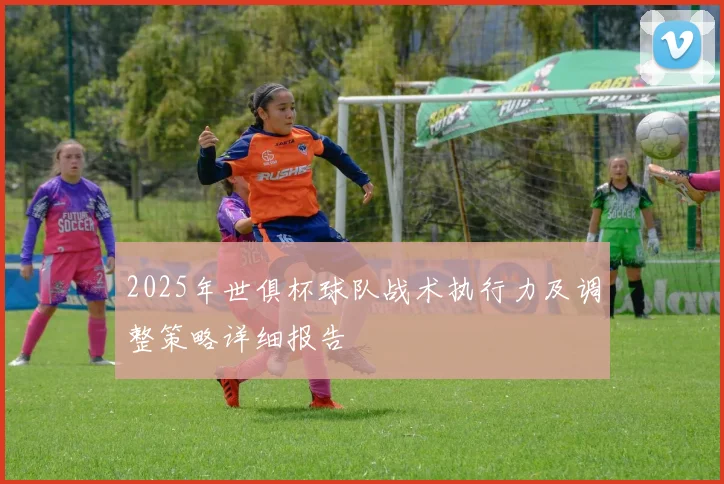 2025年世俱杯球队战术执行力及调整策略详细报告