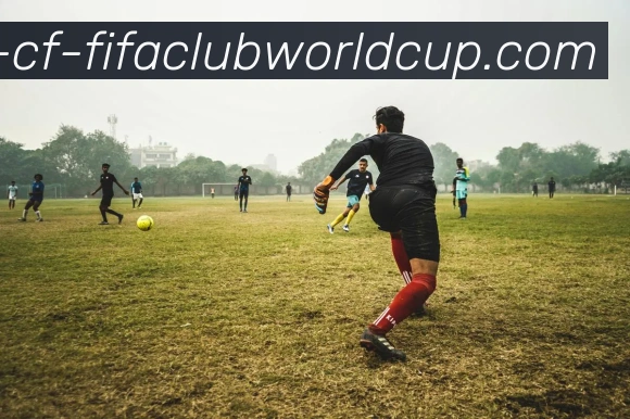 世界杯赛程平台生态图